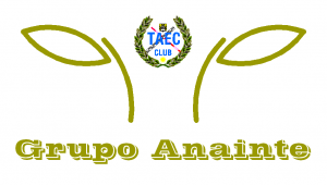 Grupo Anainte